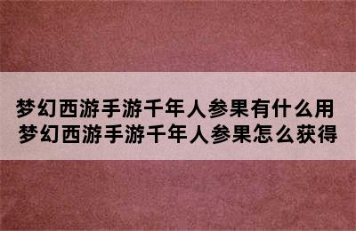 梦幻西游手游千年人参果有什么用 梦幻西游手游千年人参果怎么获得